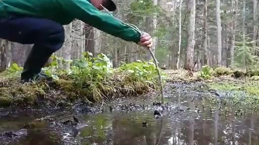 北海道的小孩从小会被告知:不要踩进水坑里。因为有时候看起来只是个小水坑,其实是深不见底的沼泽..